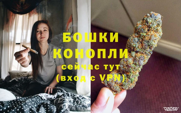 мдпв Горняк