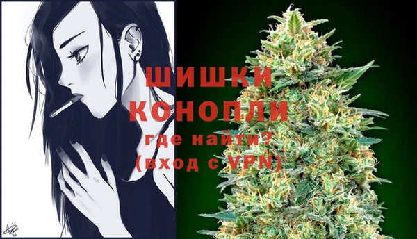 мдпв Горняк
