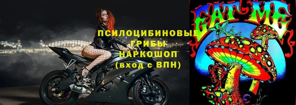 мдпв Горняк